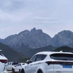 清真·敦来顺·手抓羊肉 User Photo