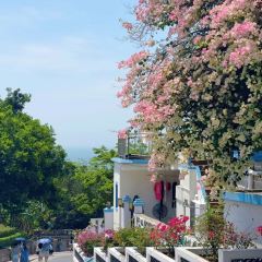 YONGXINGSHENGHAO User Photo