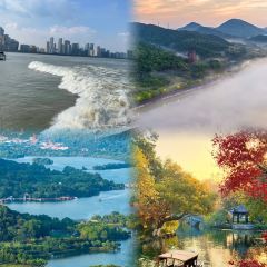 TAIHURENJIA·SUZHECAI User Photo