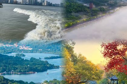 佳藕天成(南宋御街店)