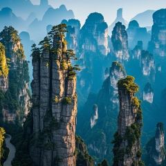 OWN BOIDE User Photo