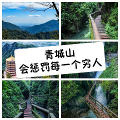 TU ZAO REN JIA CHAIHUO CHICKEN User Photo