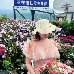 屋顶咖啡·日落甜茶·雪山花园 ·bistro User Photo