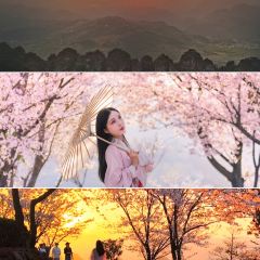 绍兴新昌安岚·听涛阁 User Photo