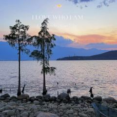 喜洲翰林破酥粑粑(壹号店) User Photo