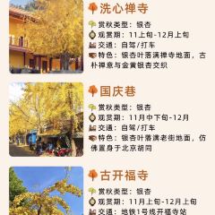 豆夫酥酥臭名远扬臭豆腐(总店) User Photo