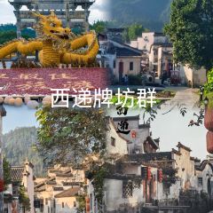 秀嫂挞粿 User Photo