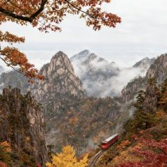 秀嫂挞粿 User Photo