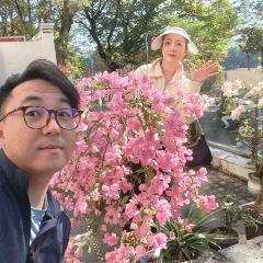 小清萊（惠城總店）張用戶圖片