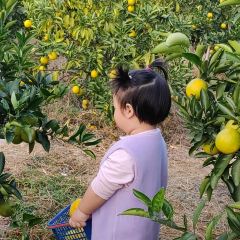 明味生態農莊張用戶圖片