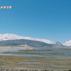 Meiweirouhuimi Restaurant User Photo