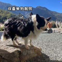 千山继·坨坨小馆·传统云南菜 User Photo