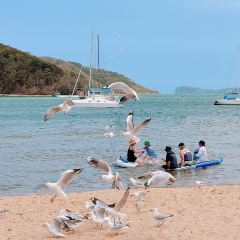 Ettalong Beach Hotel User Photo