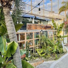 日落沙滩PARTY User Photo