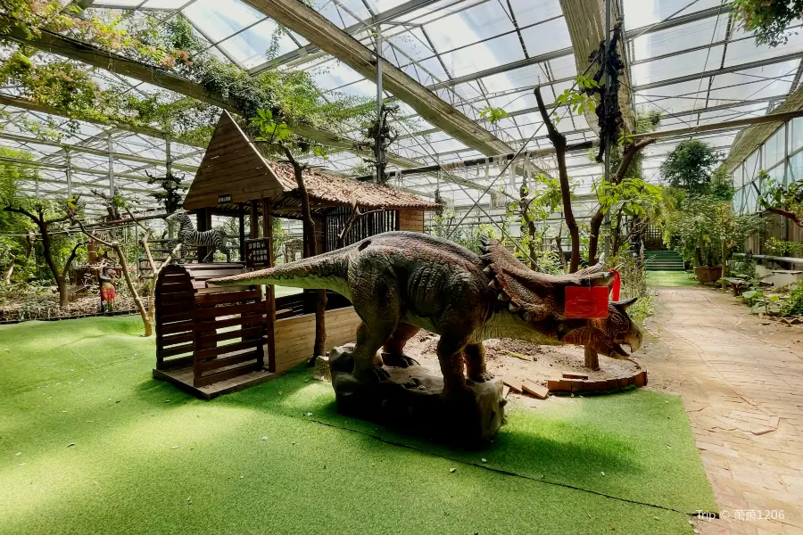 Yalu Ancient Tropical Botanical Garden & Dinosaur Museum