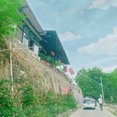张沟农家乐8号 User Photo