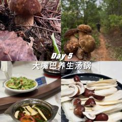 大嘴巴養生湯鍋張用戶圖片