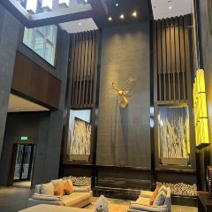 鑫海铁锅炖 User Photo