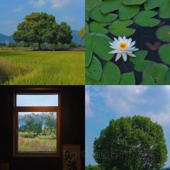 竹隐钢琴乐餐厅 User Photo