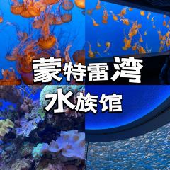 Fish Hopper 여행 사진