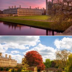 Jack's Gelato User Photo