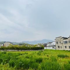 宏村得月楼(月沼店) User Photo