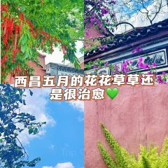 宏姐燒烤（土城東路店）張用戶圖片