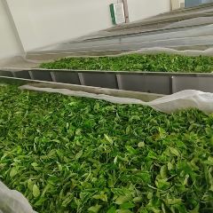 雅布伦享水谷共享农庄·黎享林奢 User Photo