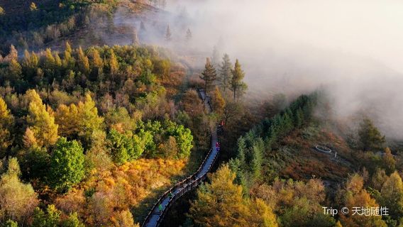 Wangniu Mountain Enjoyment Peak