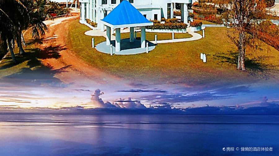 Ohas cafe (Kensington)