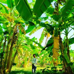 Yuyu Paopaowu User Photo