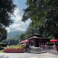 Valley Coffee Lanna Resort User Photo