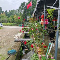 仙居小山村暖宿·小山村農家樂張用戶圖片