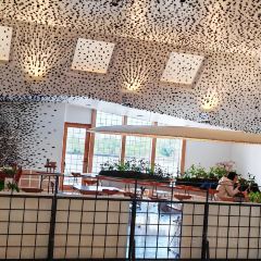 Main Shop Cafe User Photo