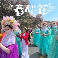 烙鍋小院張用戶圖片