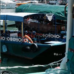 流記香港仔艇仔粉 User Photo