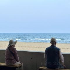 SHINKAI 여행 사진