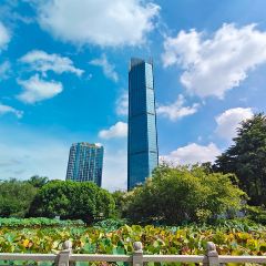 Fuzhoushimaozhoujijiudian·datangjiulang User Photo