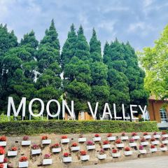 MOON VALLEY 여행 사진