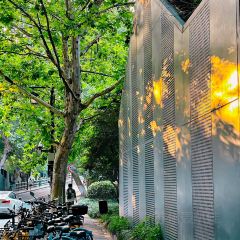 Do Do Do Porridge User Photo