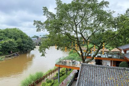 艾叶土鸡脚(艾叶店)