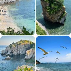 RI YUE SHENG YU JIA CAI User Photo