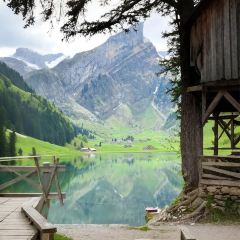 阿妈家特色藏餐(九寨沟店) User Photo