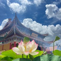 YONGXINGSHENGHAO User Photo