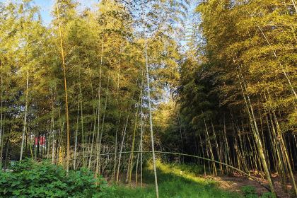 小三毛流浪处明清酒家(南北湖风景区店)