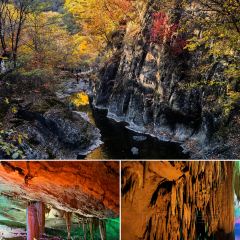 Number One User Photo