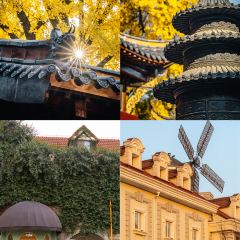 A li fu rong dan juan (cheng huang miao dian) User Photo