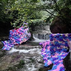 温岭嵌糕炊饭(花园店) User Photo