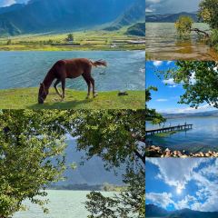 胡四哥特色火盆烧烤(总店) User Photo