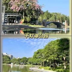 FengCheng ShuangPi Nai User Photo